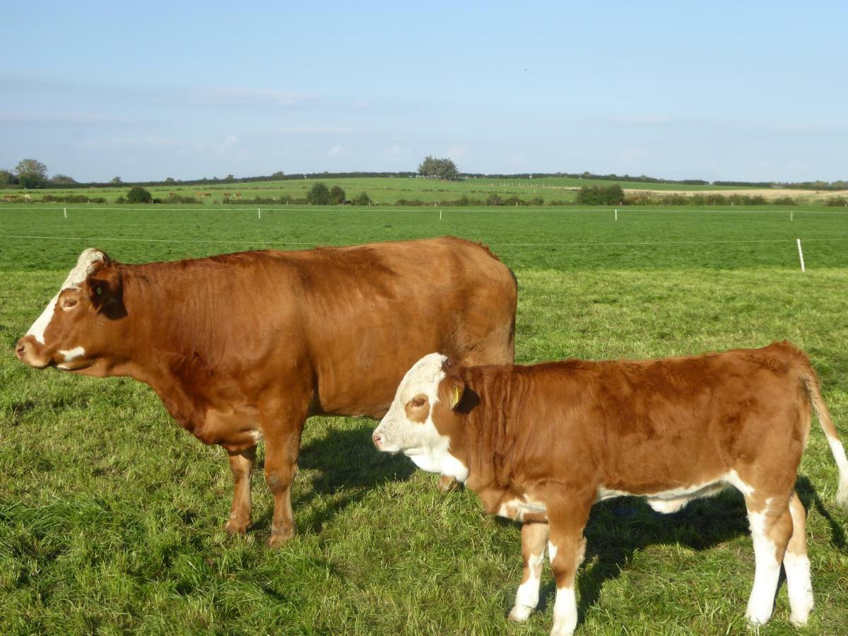 Broadacre Farm Bed and Breakfast Stabannan Esterno foto