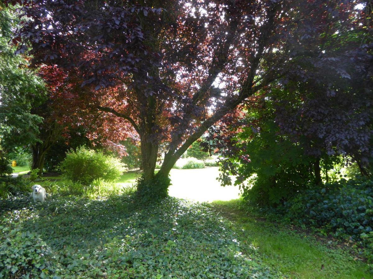 Broadacre Farm Bed and Breakfast Stabannan Esterno foto
